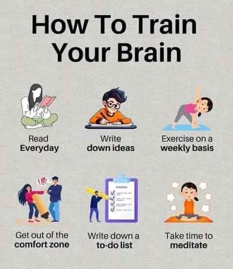 07 Train Brain